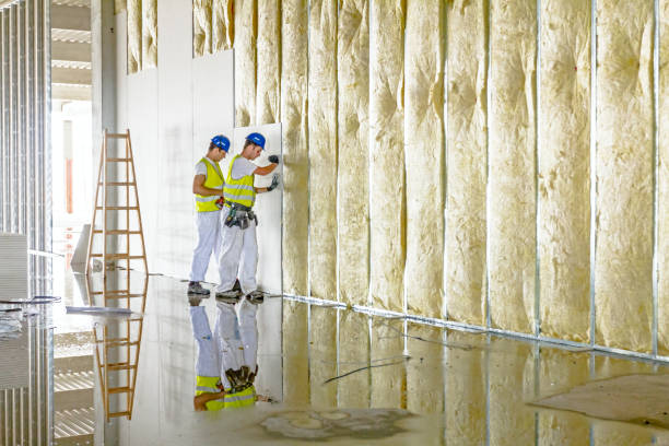 Best Batt and Roll Insulation  in Wrightsville, GA